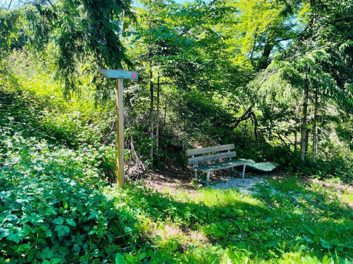 Appartement Zum Hirsch'N Waldkirchen Eksteriør billede