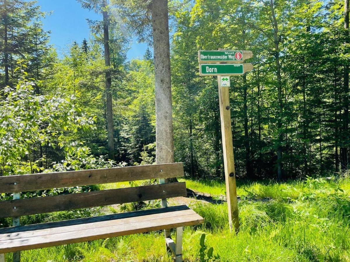 Appartement Zum Hirsch'N Waldkirchen Eksteriør billede