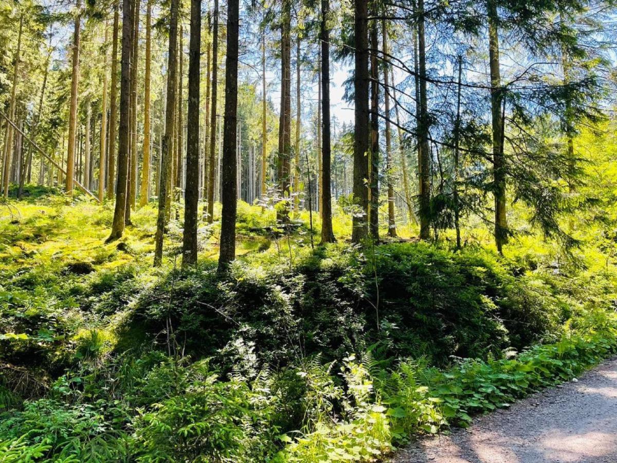 Appartement Zum Hirsch'N Waldkirchen Eksteriør billede